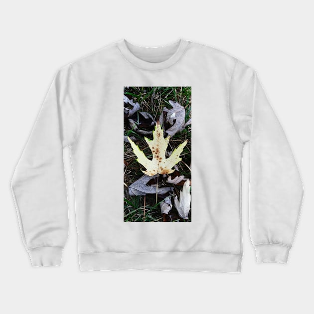 Randoms Cont'd Crewneck Sweatshirt by amararob